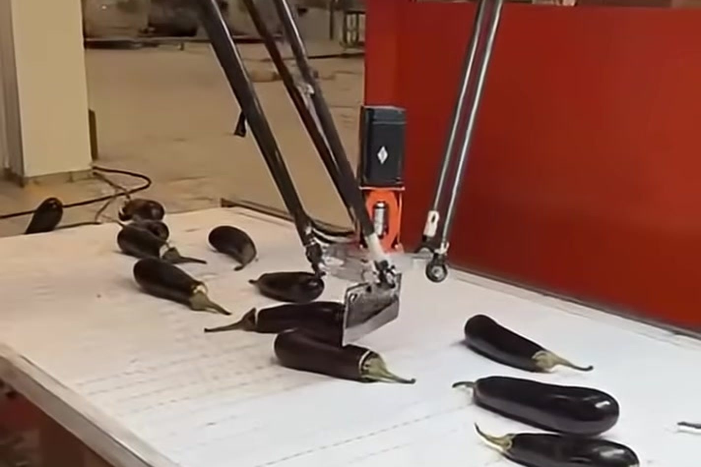 DOKTEK FoodTech automatic eggplant stem cutting machine with machine vision detection